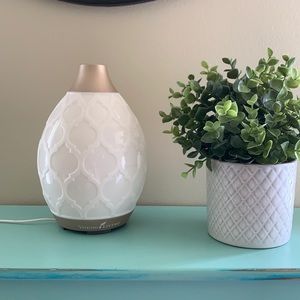 YOUNG LIVING DESERT MIST DIFFUSER